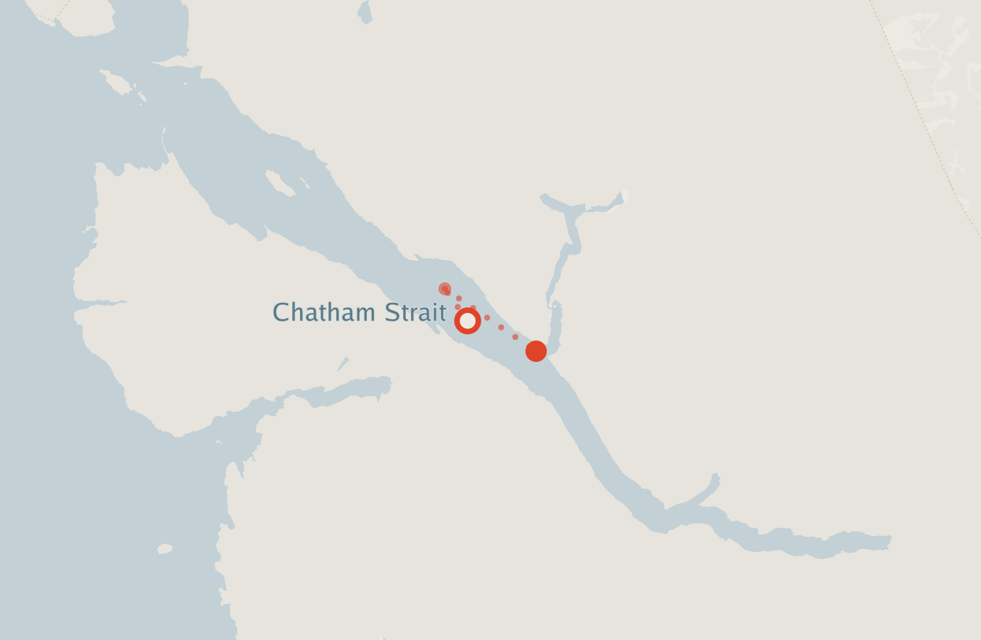 Activity map — real sighting points on an OpenStreetMap basemap