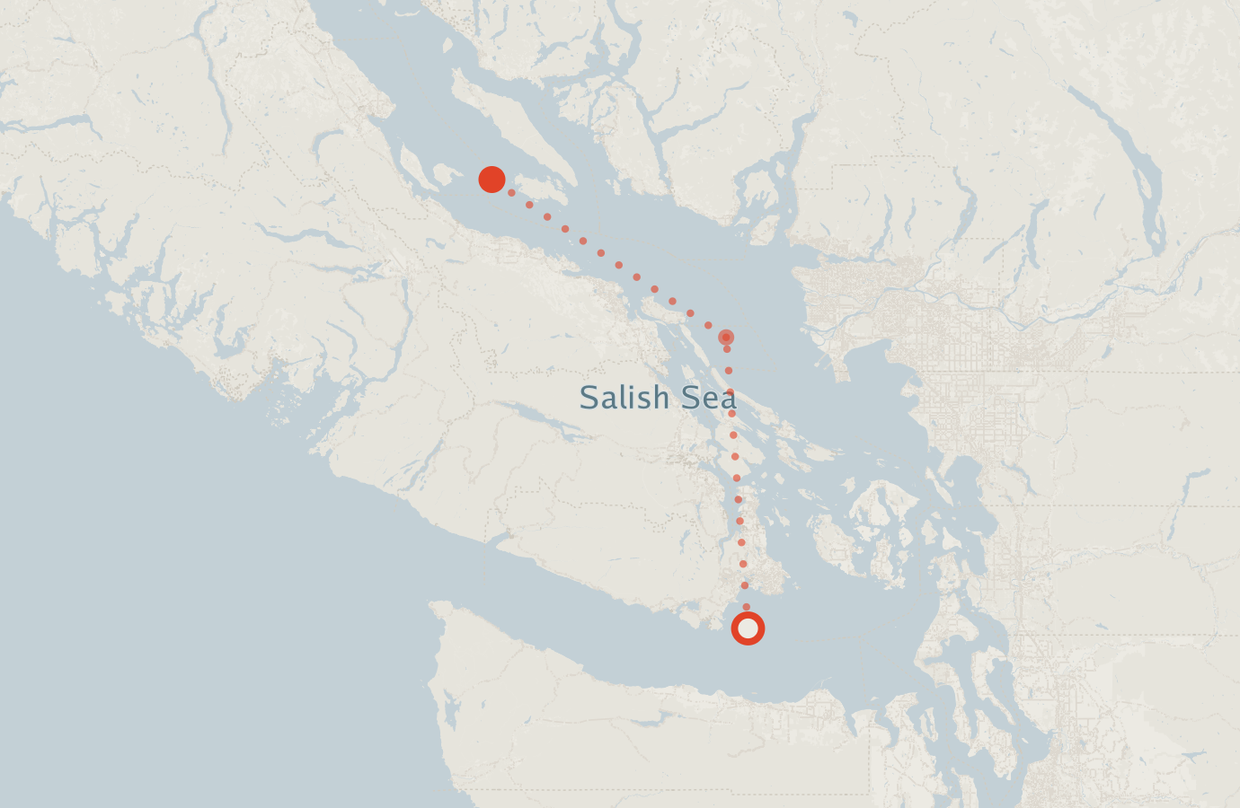 Activity map — real sighting points on an OpenStreetMap basemap