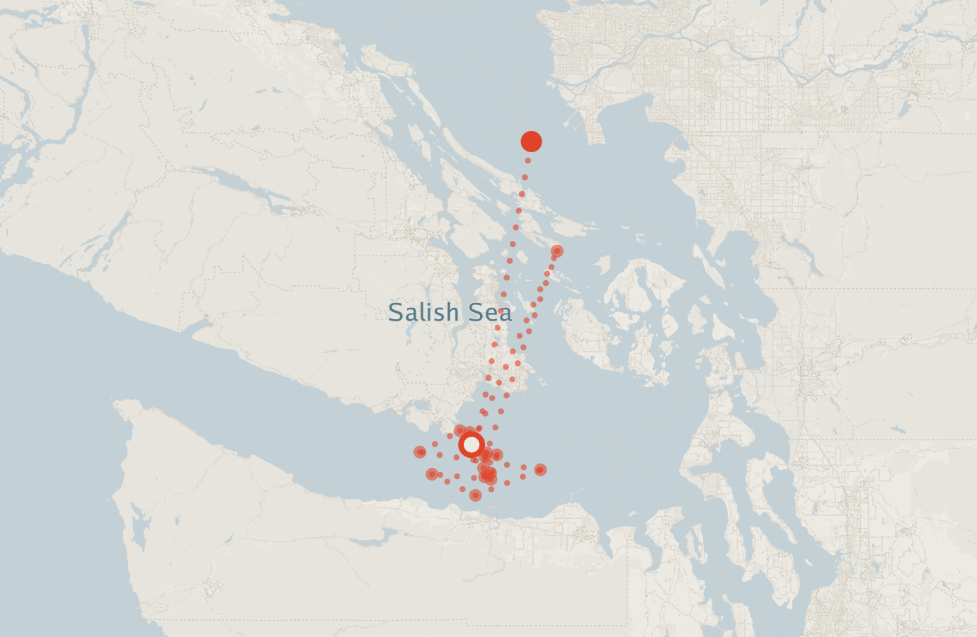 Activity map — real sighting points on an OpenStreetMap basemap