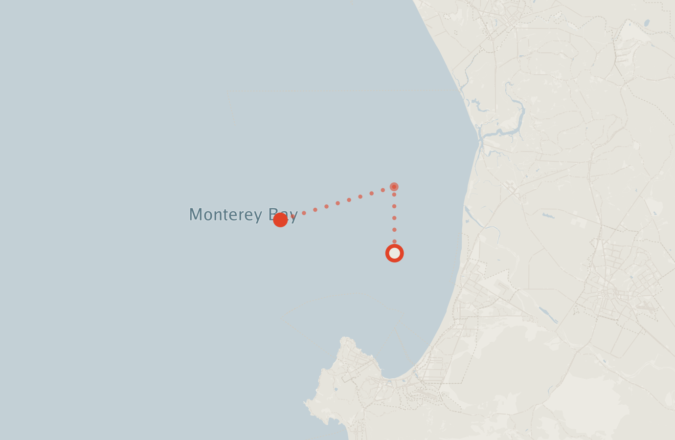 Activity map — real sighting points on an OpenStreetMap basemap