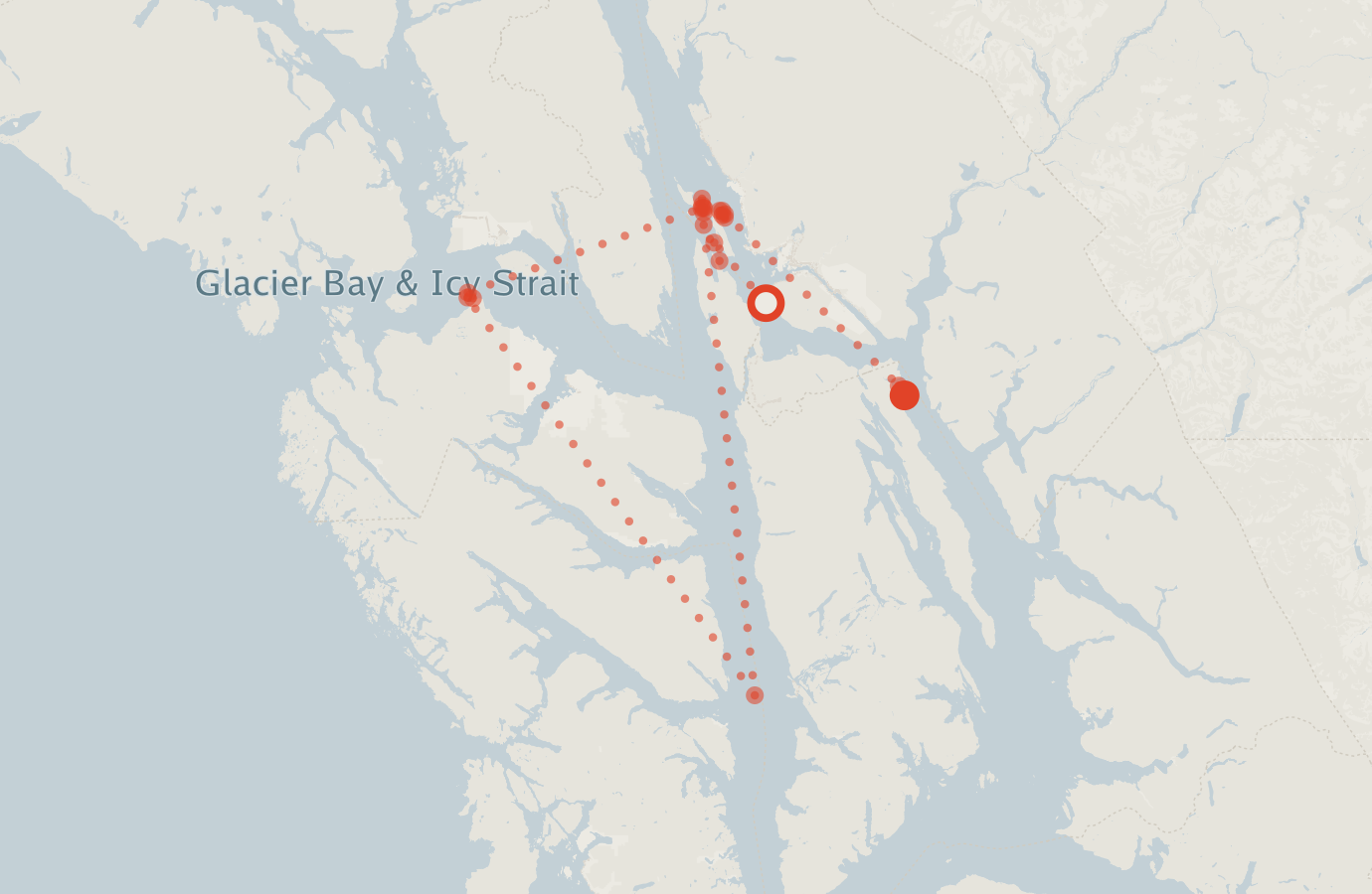 Activity map — real sighting points on an OpenStreetMap basemap