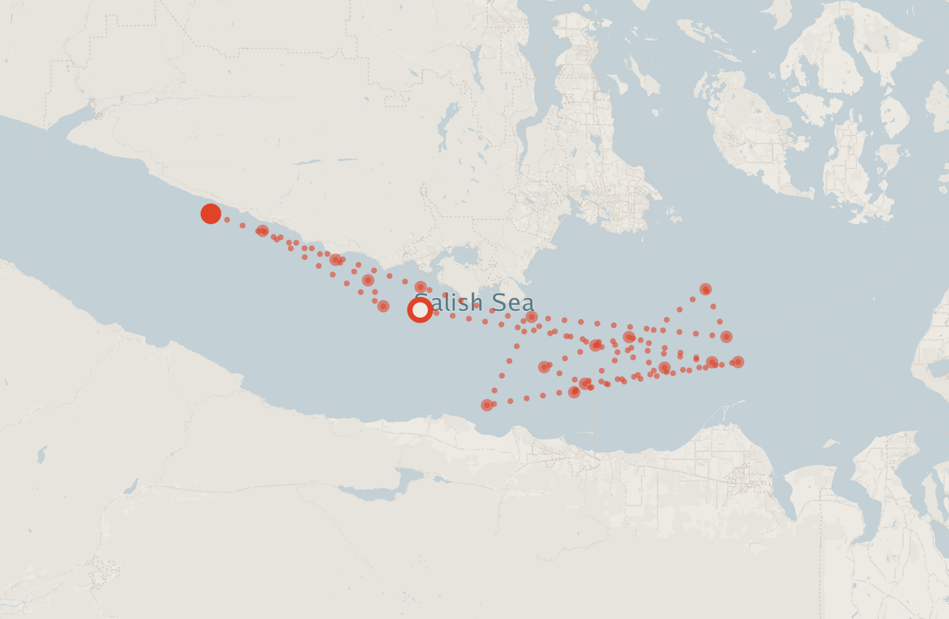 Activity map — real sighting points on an OpenStreetMap basemap