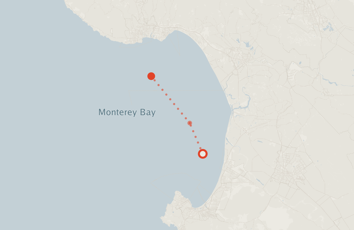 Activity map — real sighting points on an OpenStreetMap basemap