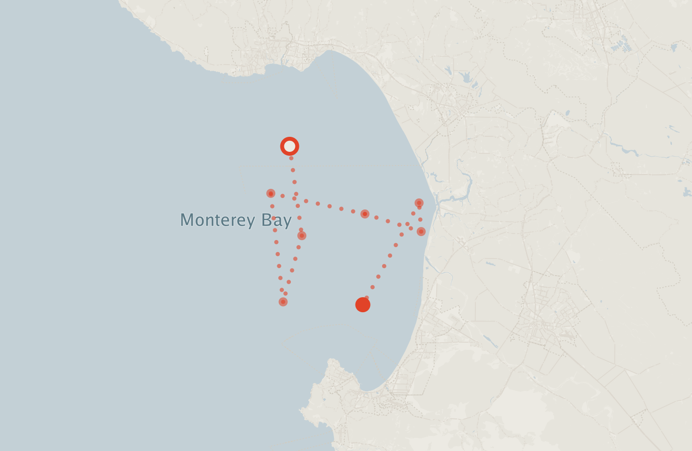 Activity map — real sighting points on an OpenStreetMap basemap
