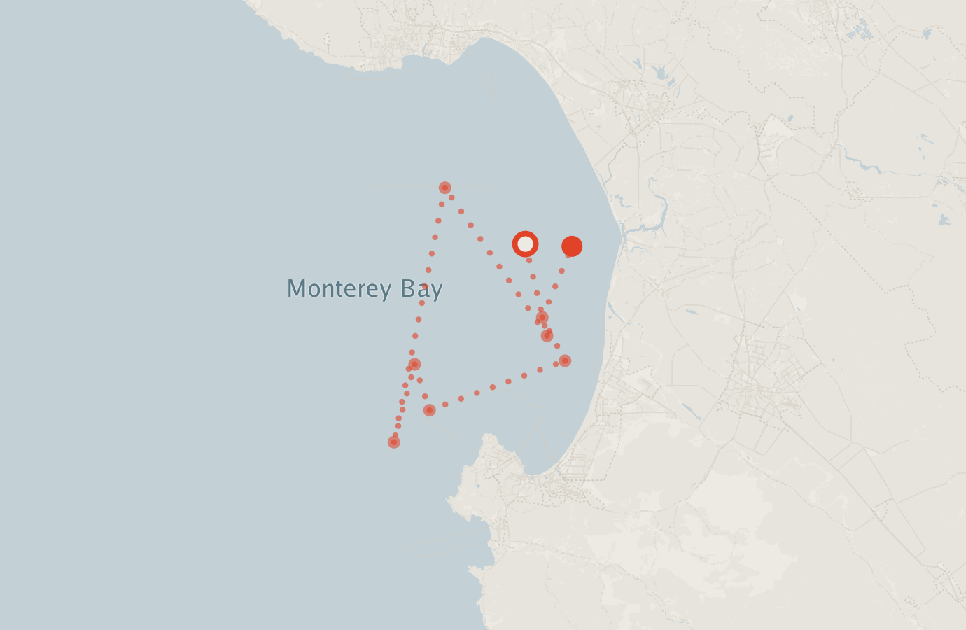 Activity map — real sighting points on an OpenStreetMap basemap