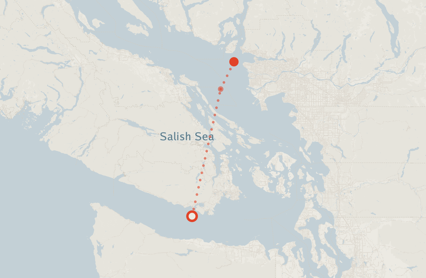 Activity map — real sighting points on an OpenStreetMap basemap