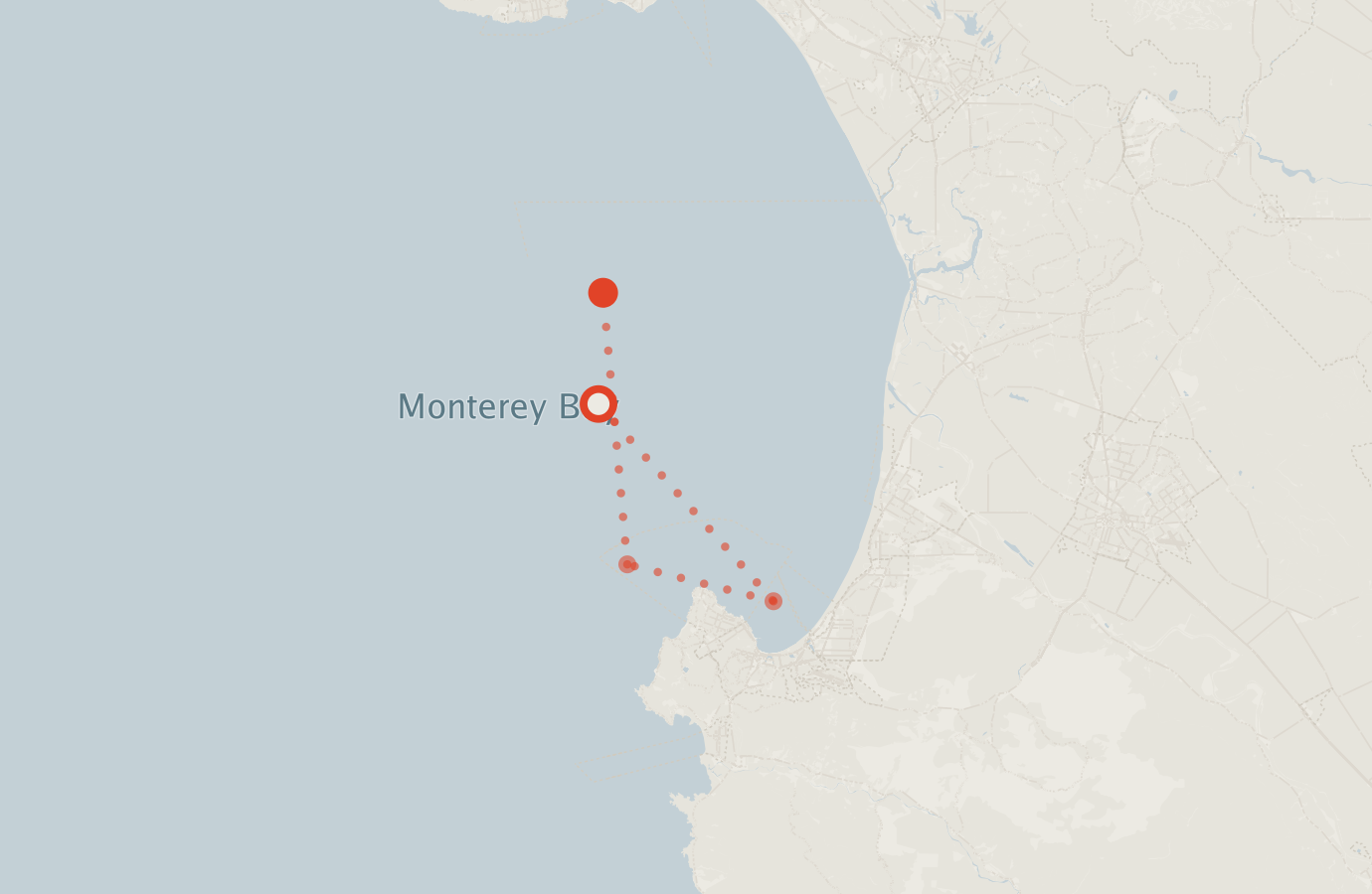 Activity map — real sighting points on an OpenStreetMap basemap