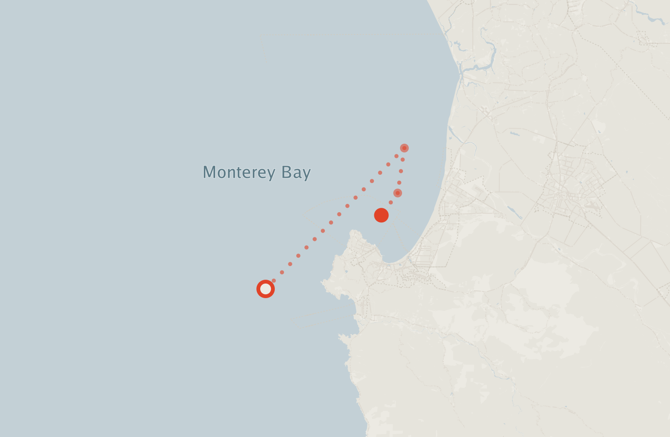 Activity map — real sighting points on an OpenStreetMap basemap