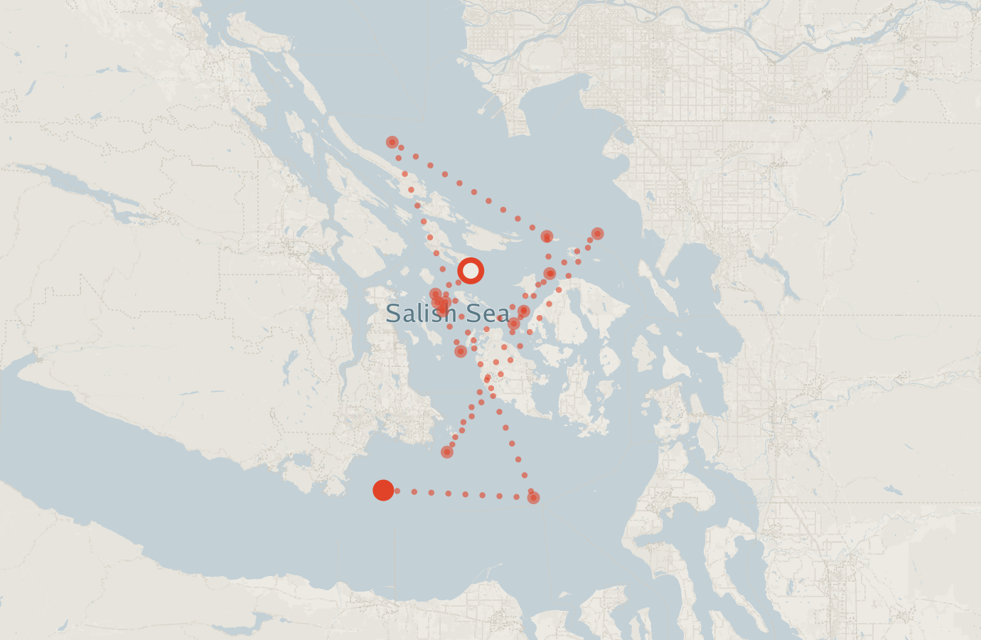 Activity map — real sighting points on an OpenStreetMap basemap