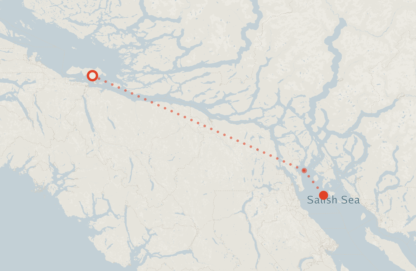 Activity map — real sighting points on an OpenStreetMap basemap