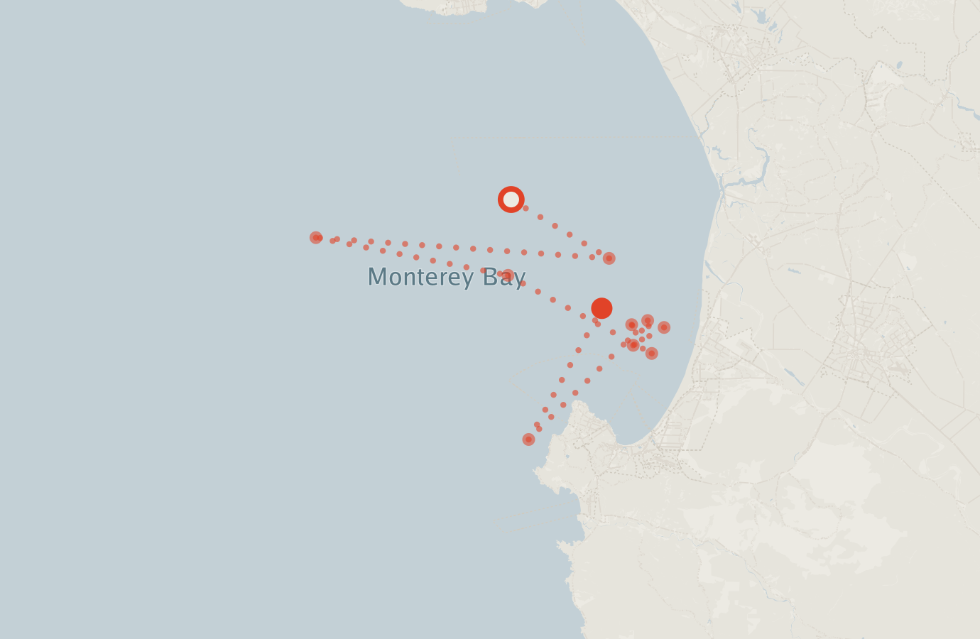 Activity map — real sighting points on an OpenStreetMap basemap