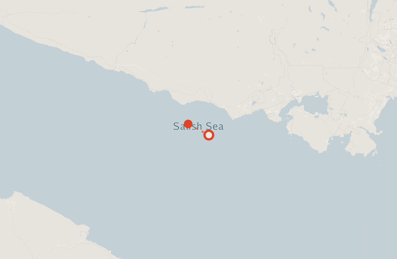 Activity map — real sighting points on an OpenStreetMap basemap