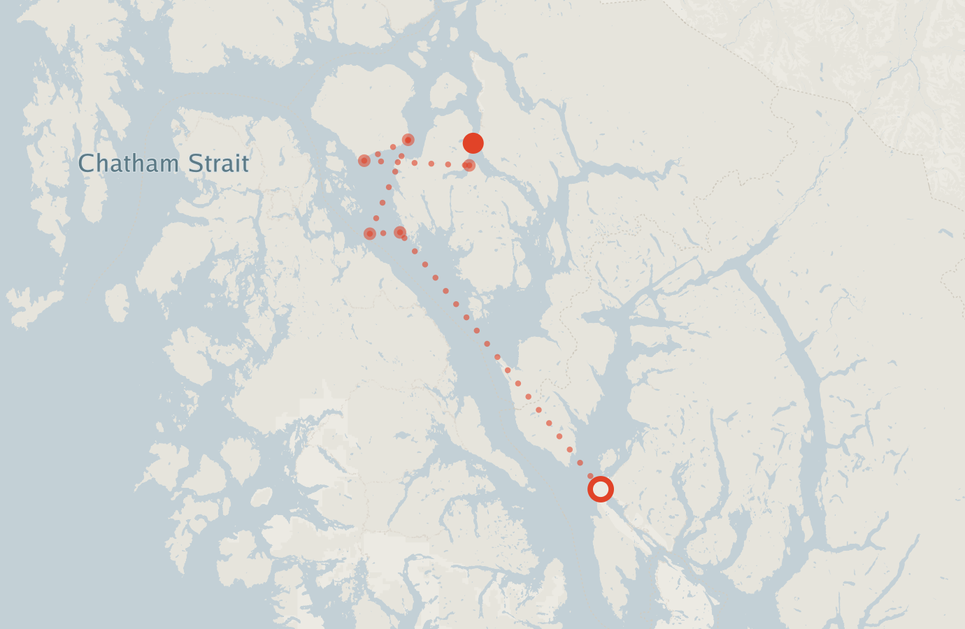 Activity map — real sighting points on an OpenStreetMap basemap