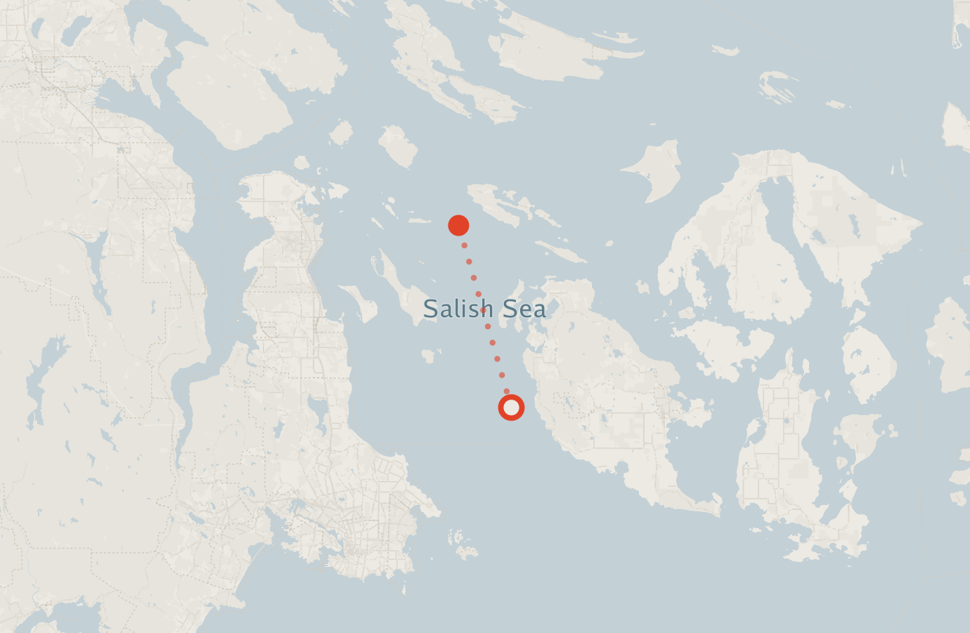 Activity map — real sighting points on an OpenStreetMap basemap