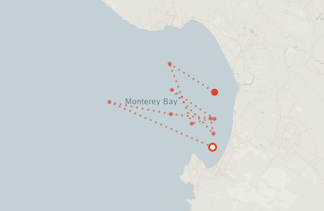 Activity map — real sighting points on an OpenStreetMap basemap