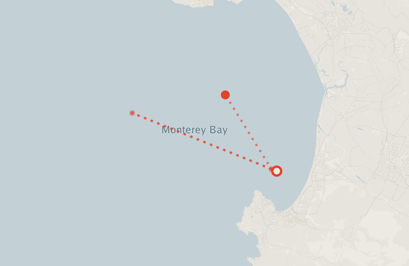 Activity map — real sighting points on an OpenStreetMap basemap