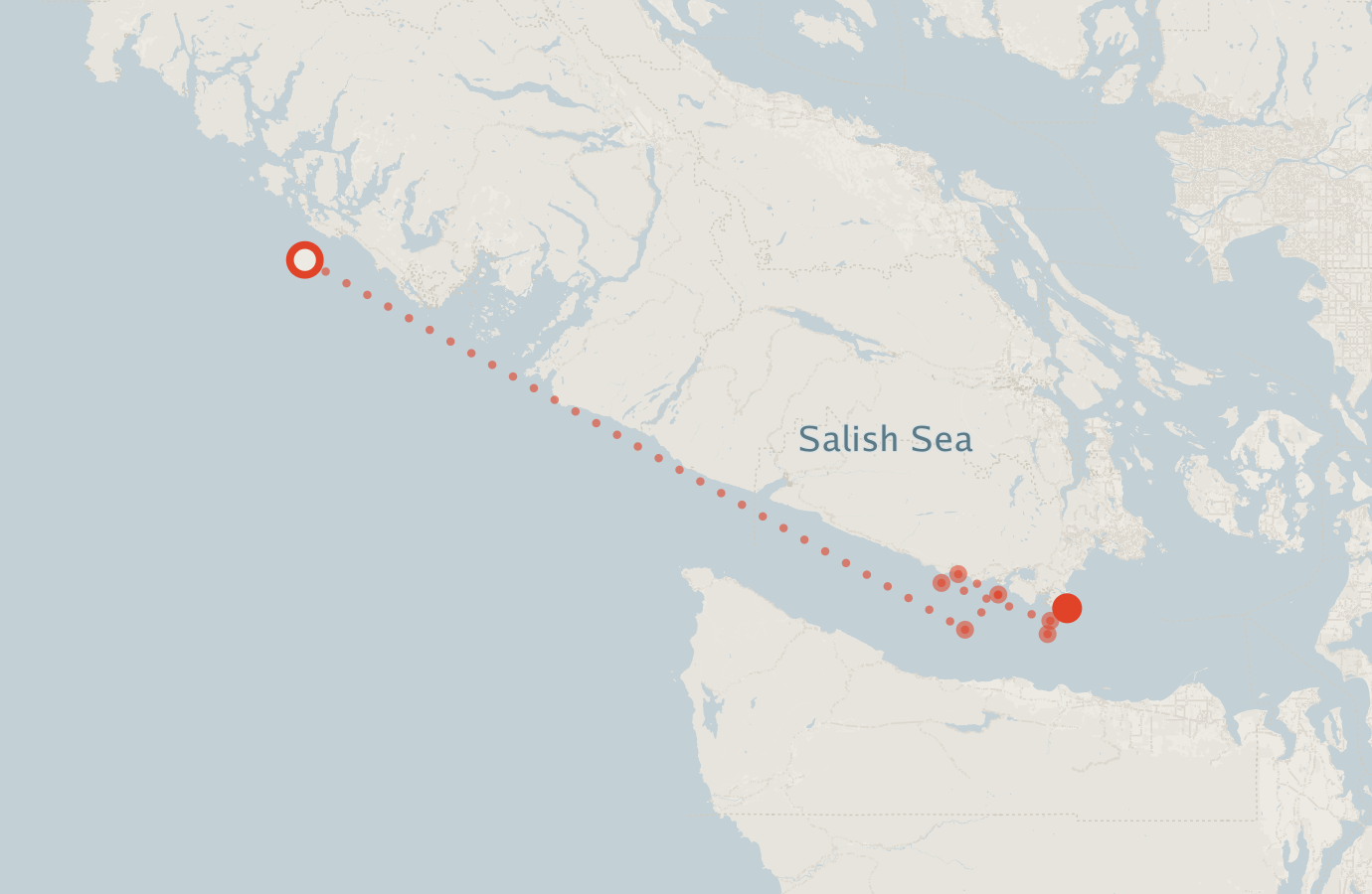 Activity map — real sighting points on an OpenStreetMap basemap