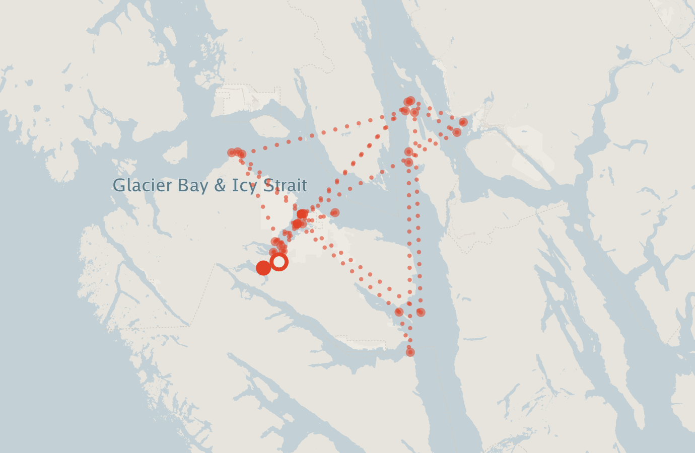 Activity map — real sighting points on an OpenStreetMap basemap