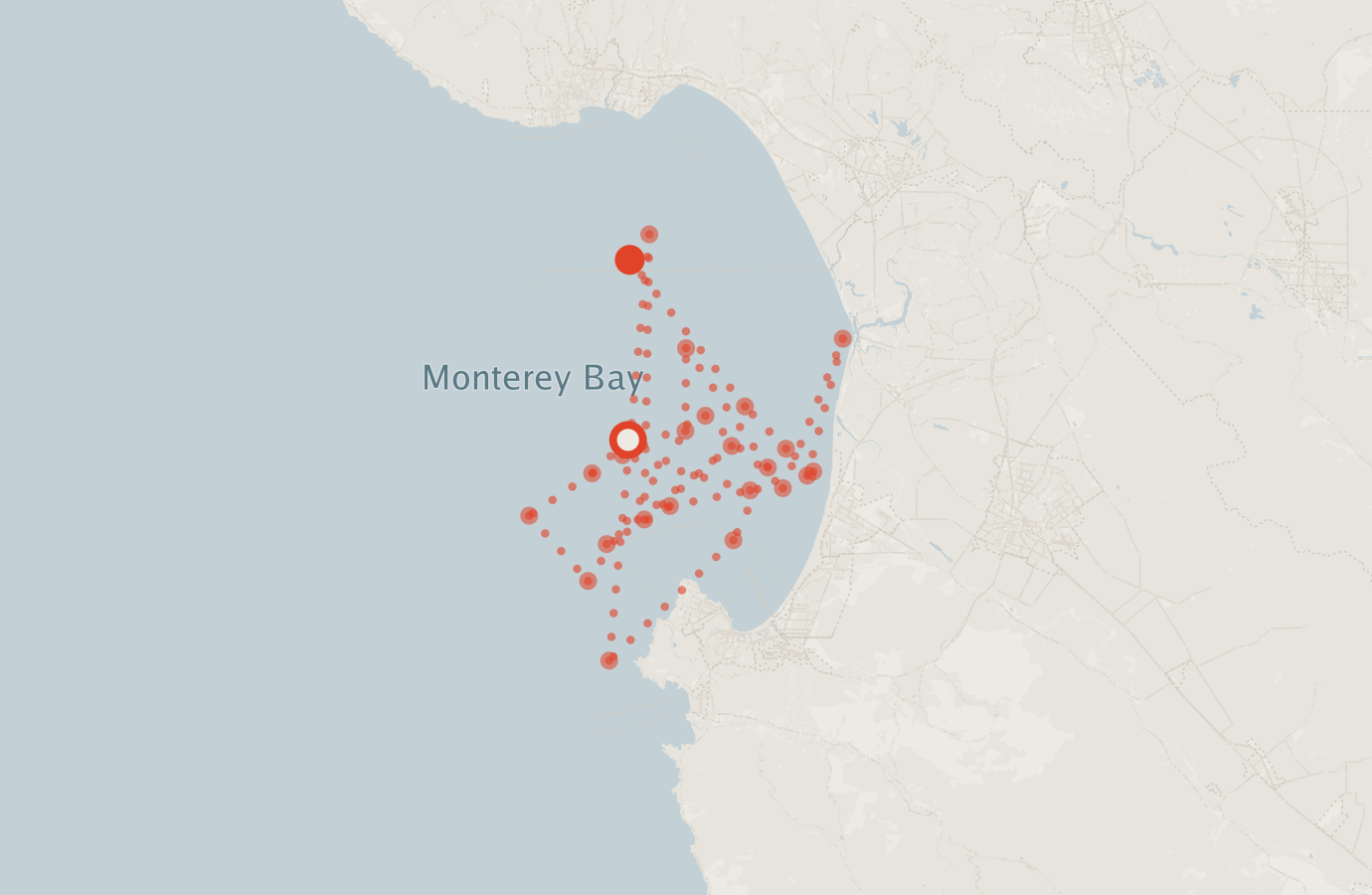 Activity map — real sighting points on an OpenStreetMap basemap
