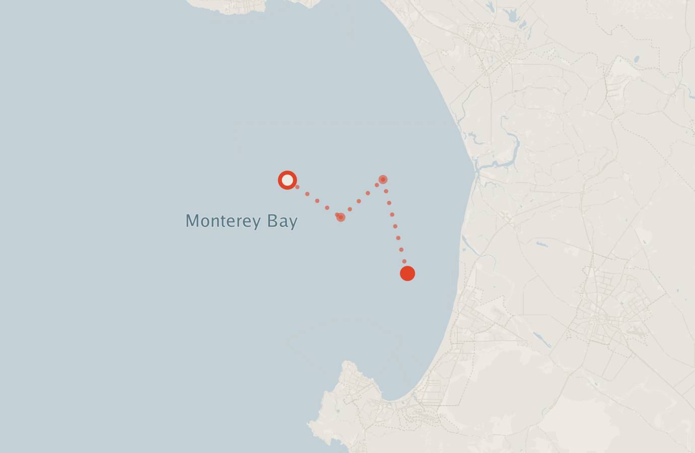Activity map — real sighting points on an OpenStreetMap basemap