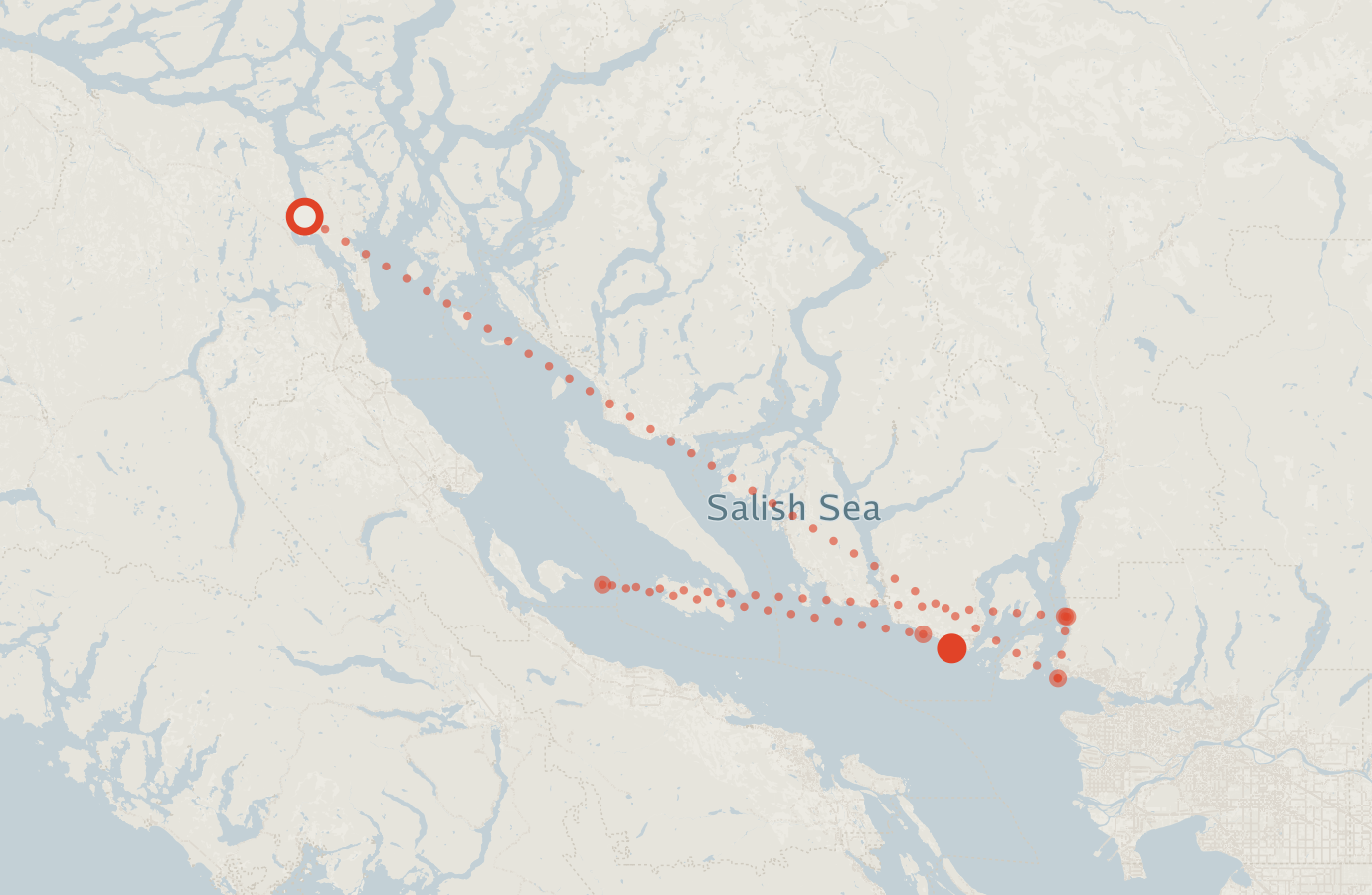 Activity map — real sighting points on an OpenStreetMap basemap