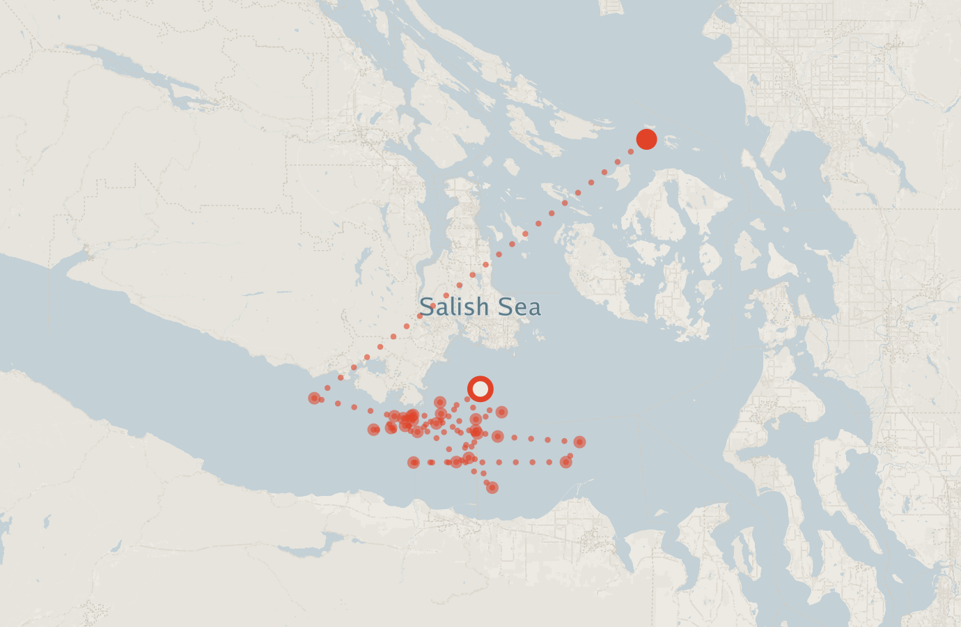 Activity map — real sighting points on an OpenStreetMap basemap