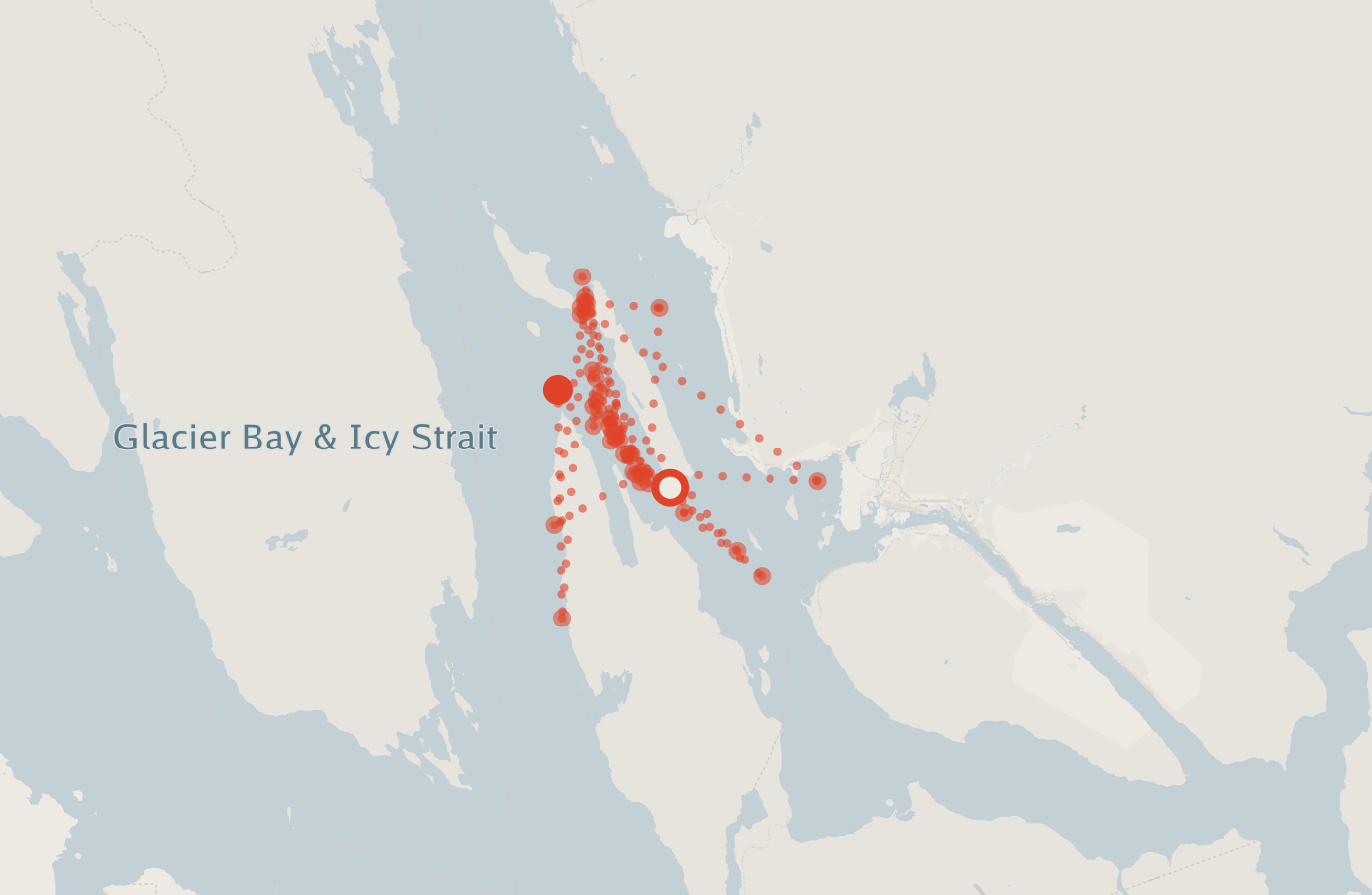 Activity map — real sighting points on an OpenStreetMap basemap