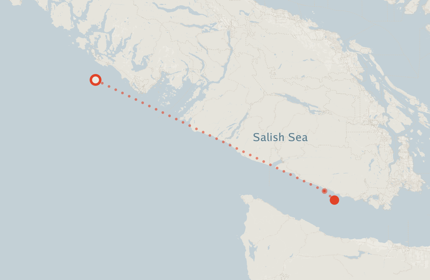 Activity map — real sighting points on an OpenStreetMap basemap