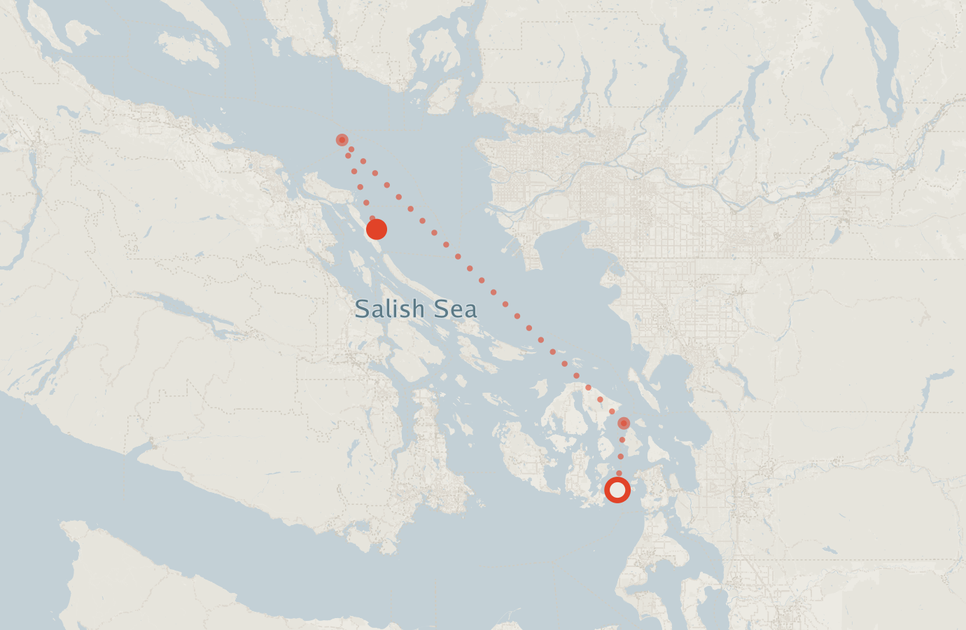 Activity map — real sighting points on an OpenStreetMap basemap
