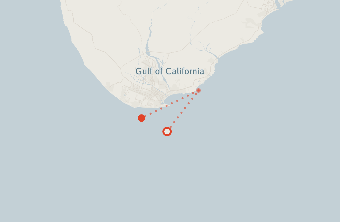 Activity map — real sighting points on an OpenStreetMap basemap