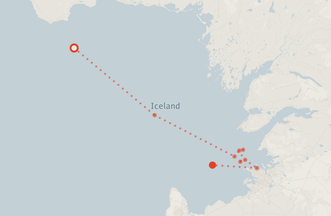 Activity map — real sighting points on an OpenStreetMap basemap