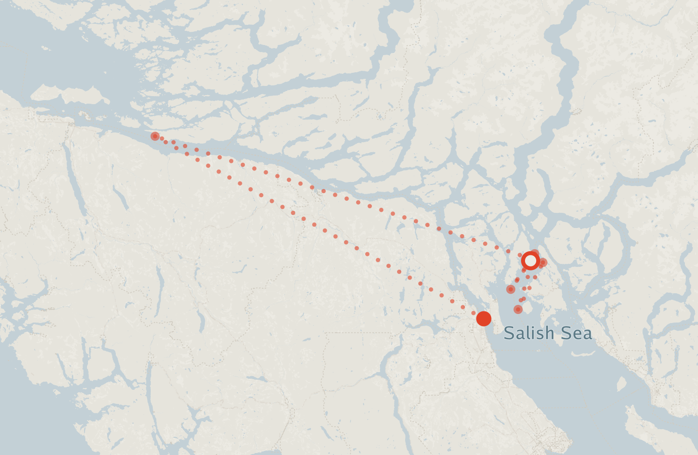 Activity map — real sighting points on an OpenStreetMap basemap