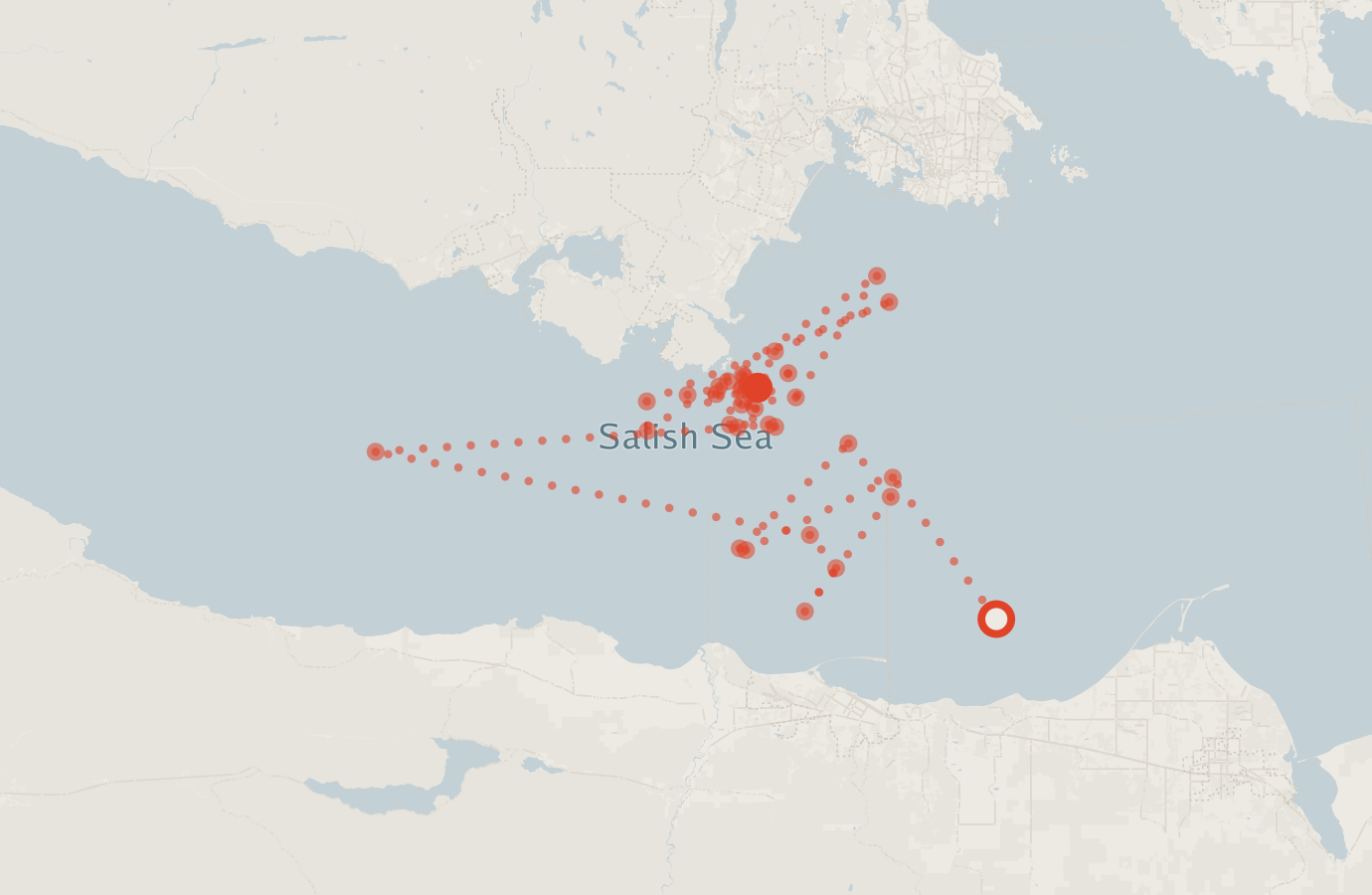 Activity map — real sighting points on an OpenStreetMap basemap