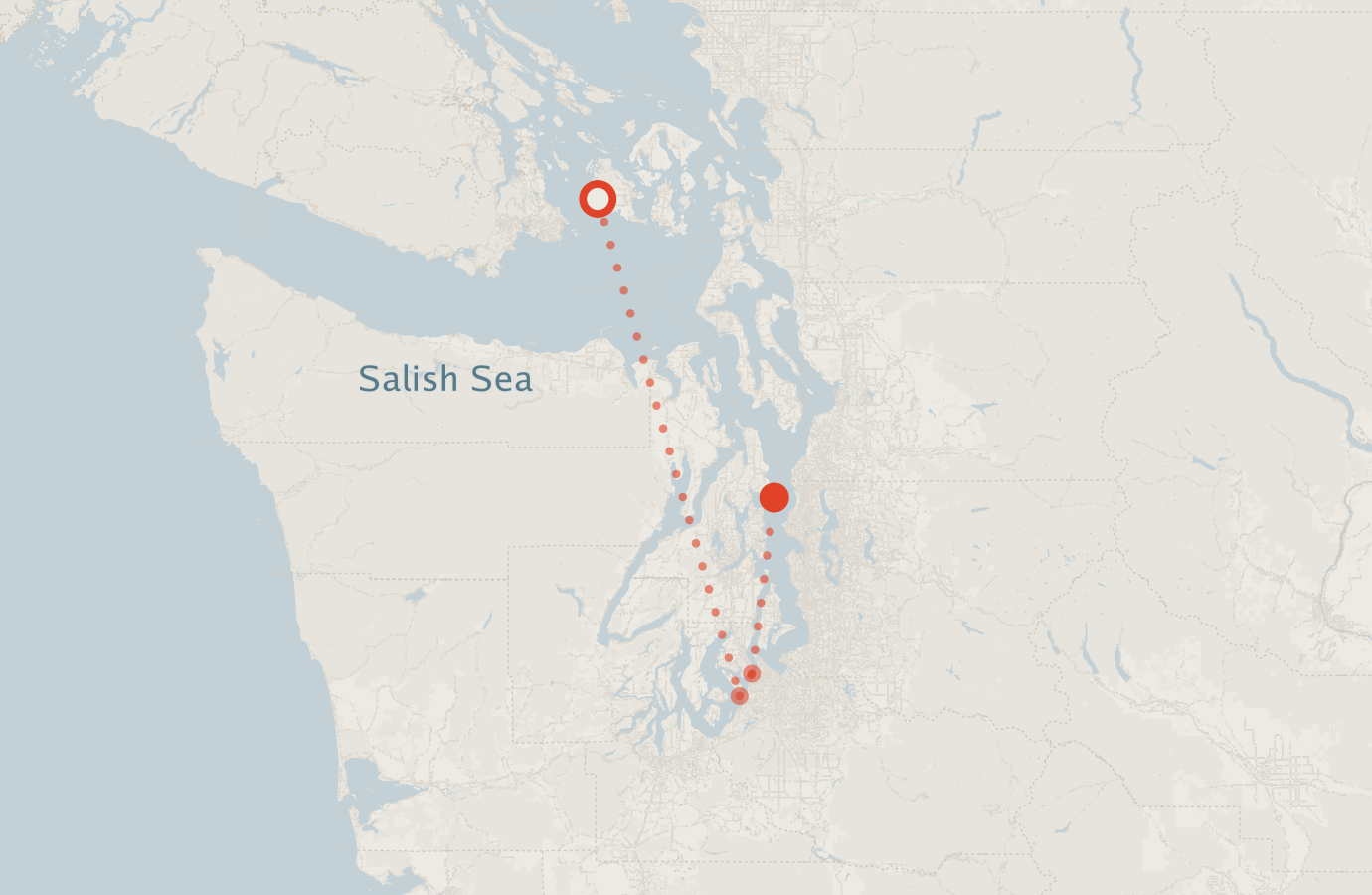 Activity map — real sighting points on an OpenStreetMap basemap