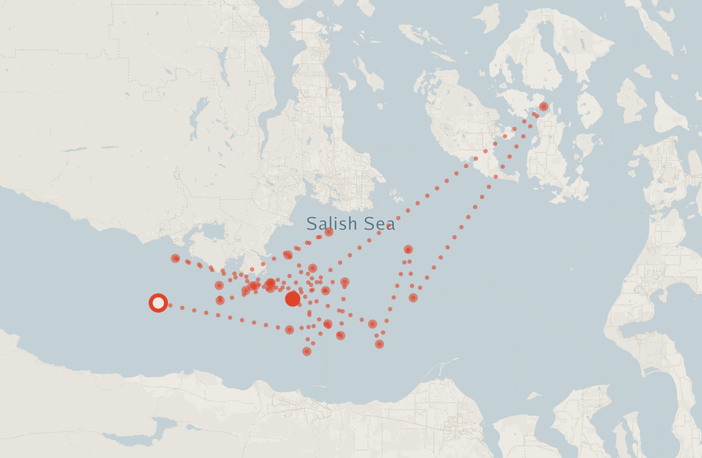 Activity map — real sighting points on an OpenStreetMap basemap