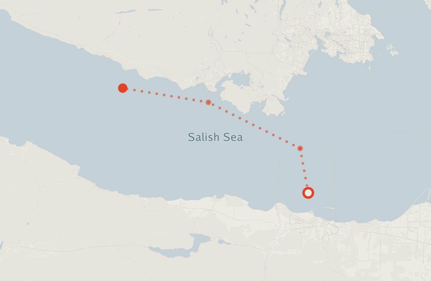 Activity map — real sighting points on an OpenStreetMap basemap