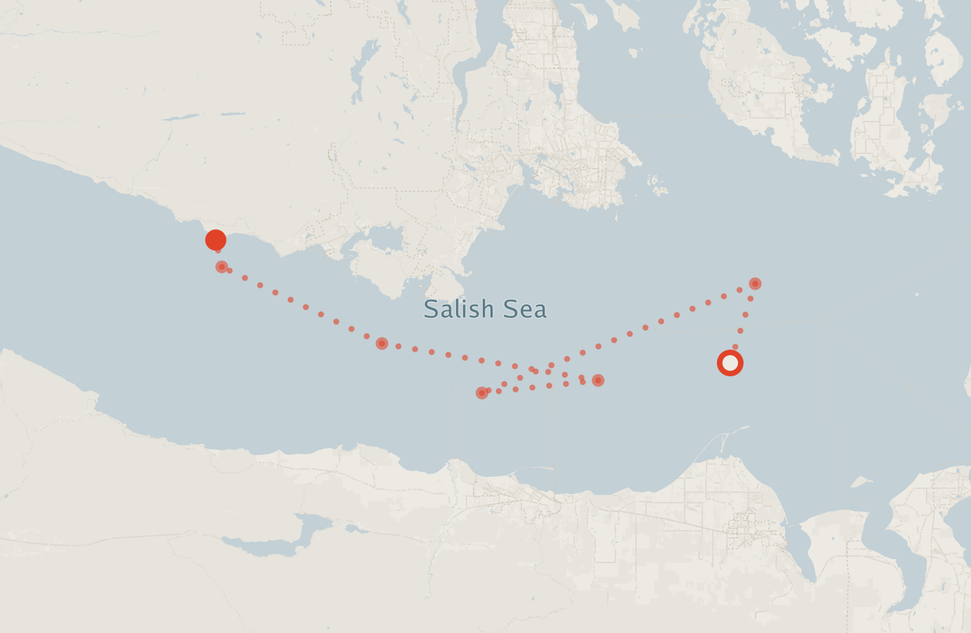 Activity map — real sighting points on an OpenStreetMap basemap