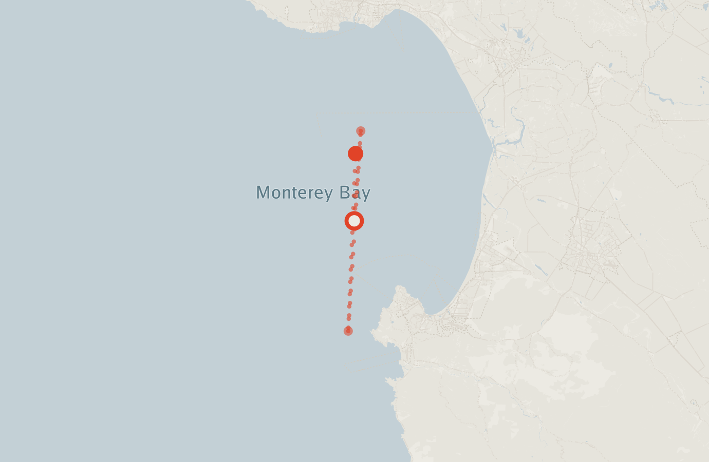 Activity map — real sighting points on an OpenStreetMap basemap