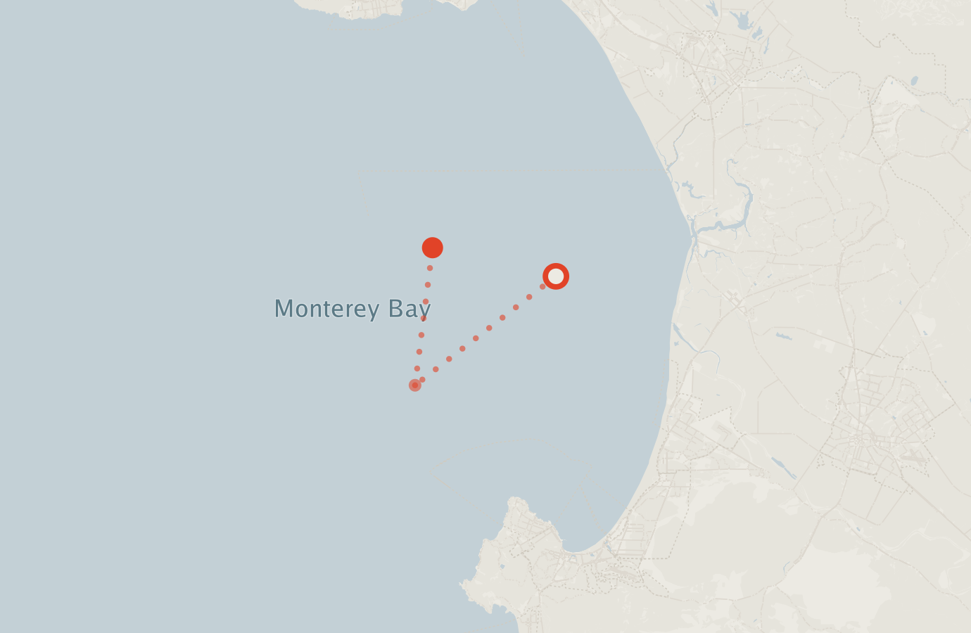 Activity map — real sighting points on an OpenStreetMap basemap