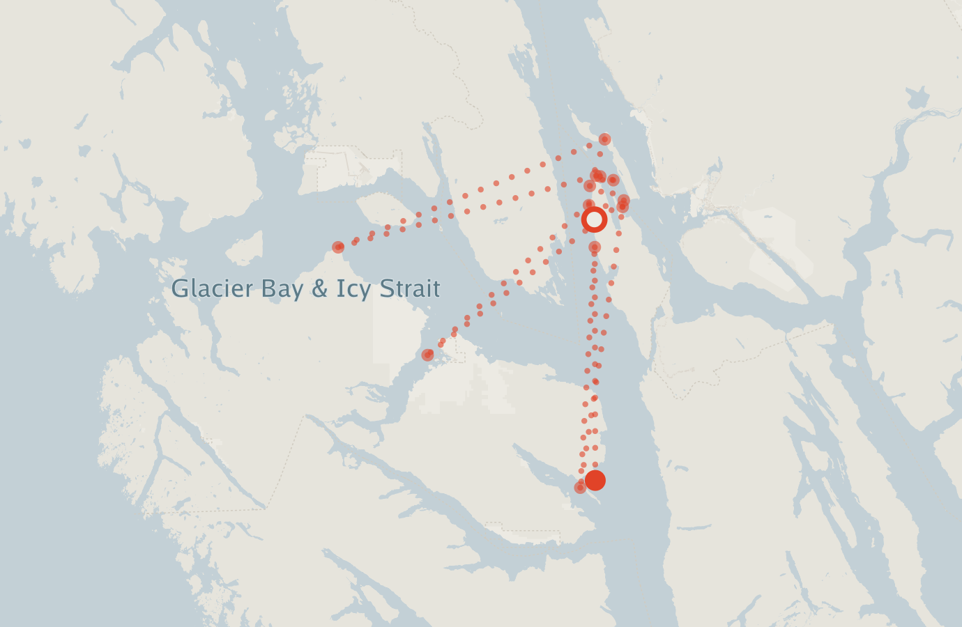 Activity map — real sighting points on an OpenStreetMap basemap