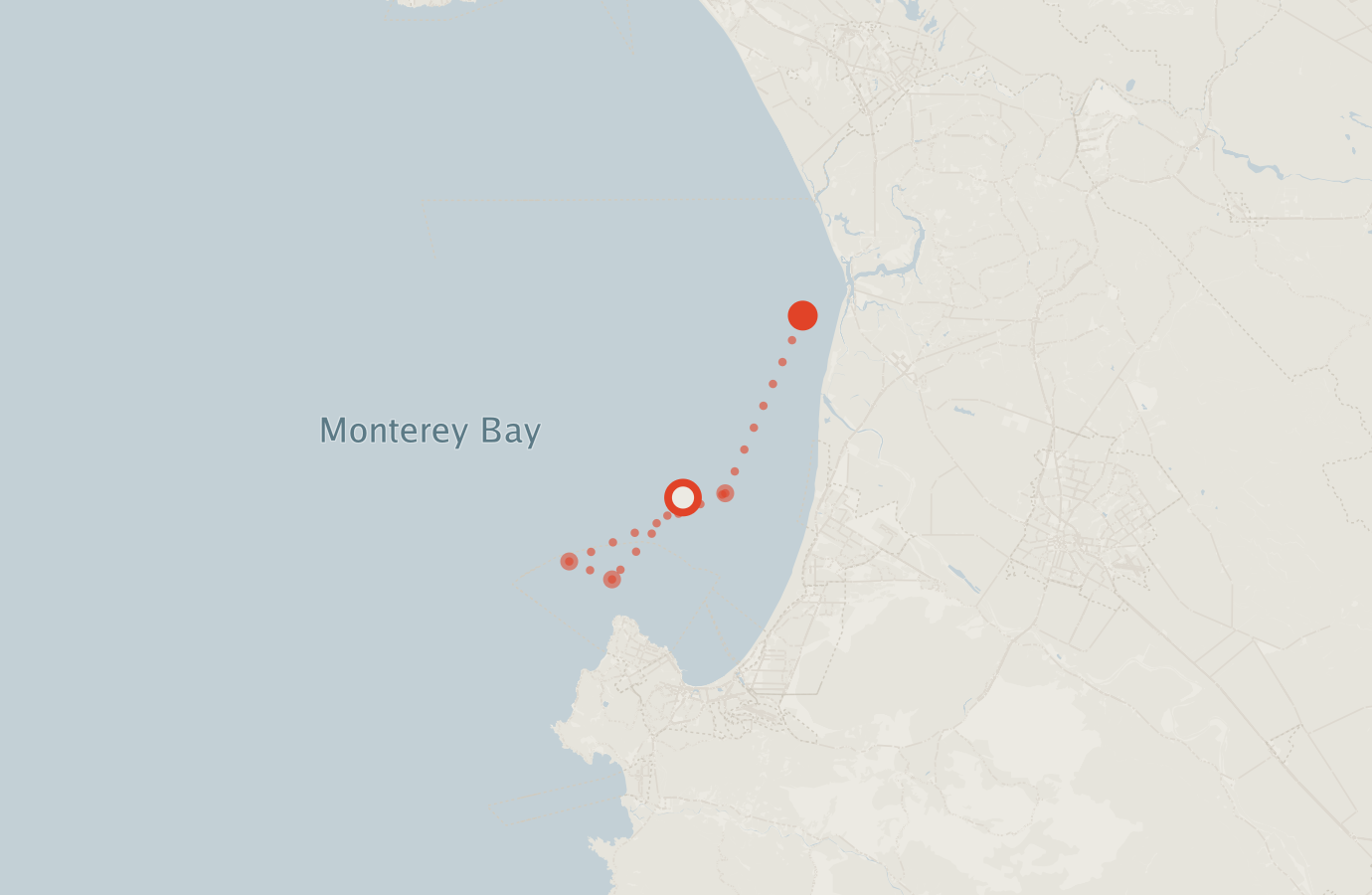 Activity map — real sighting points on an OpenStreetMap basemap