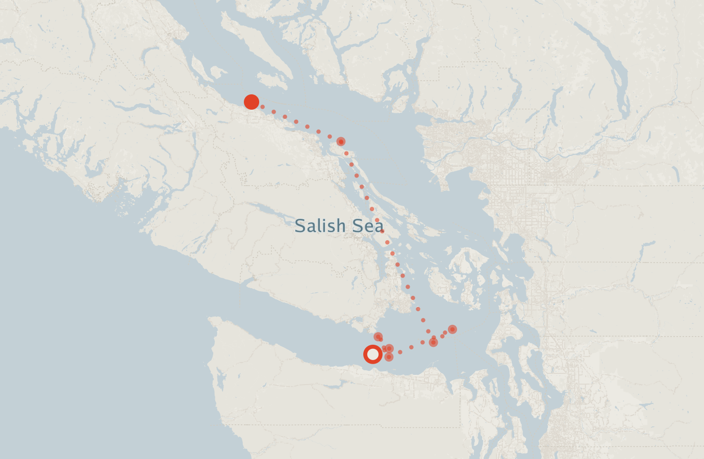 Activity map — real sighting points on an OpenStreetMap basemap