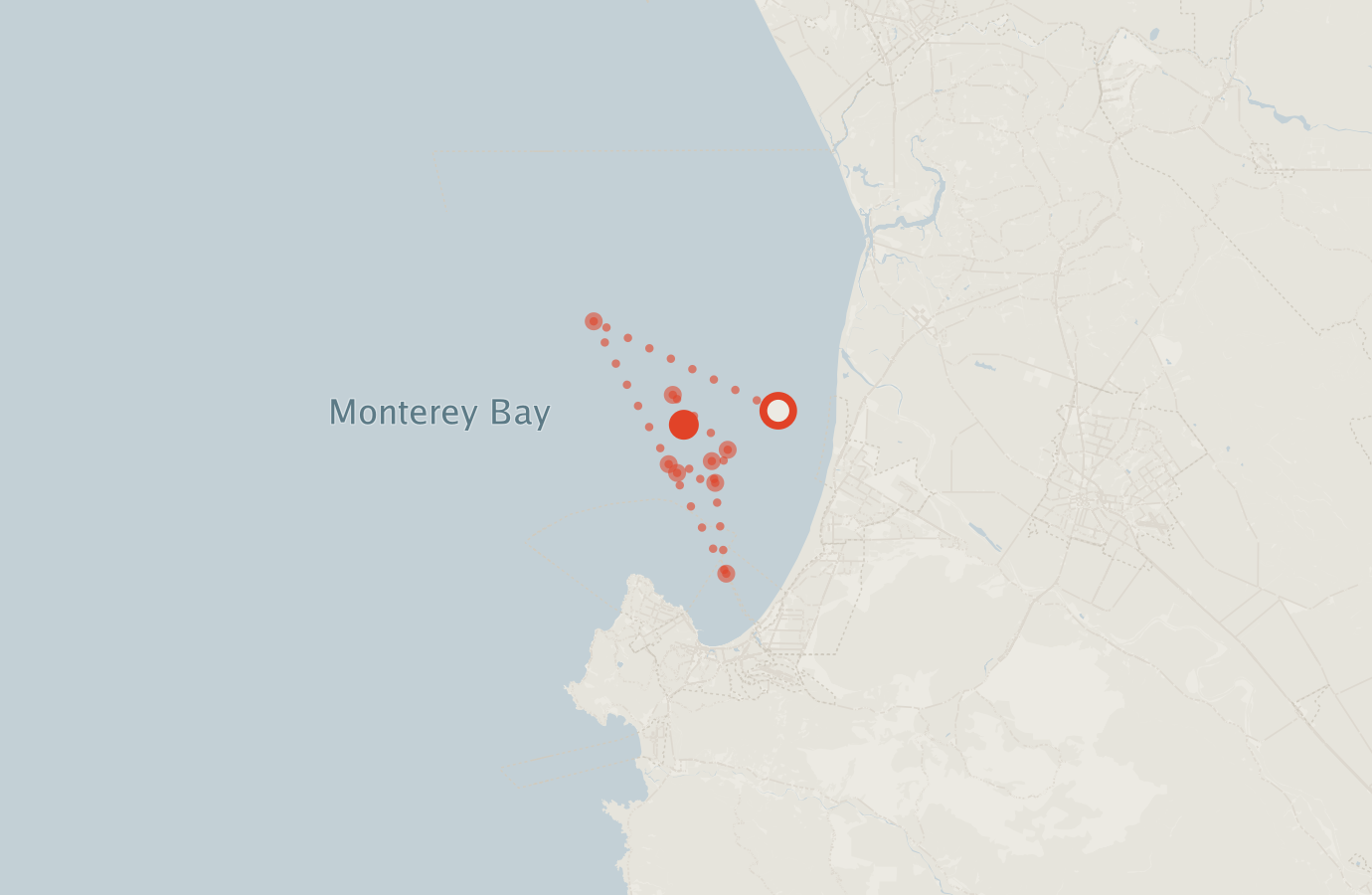 Activity map — real sighting points on an OpenStreetMap basemap