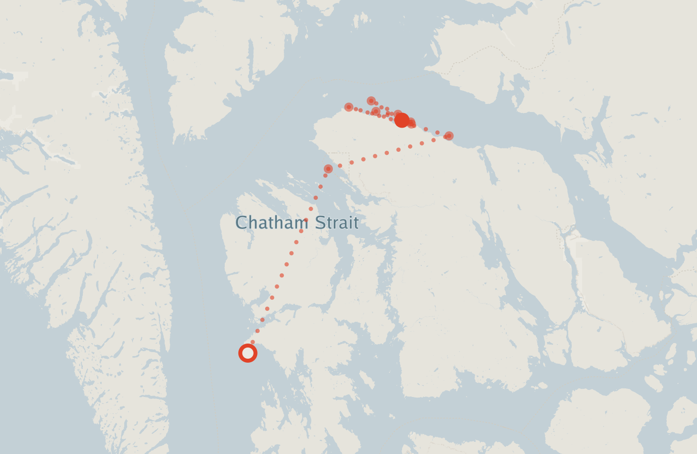 Activity map — real sighting points on an OpenStreetMap basemap