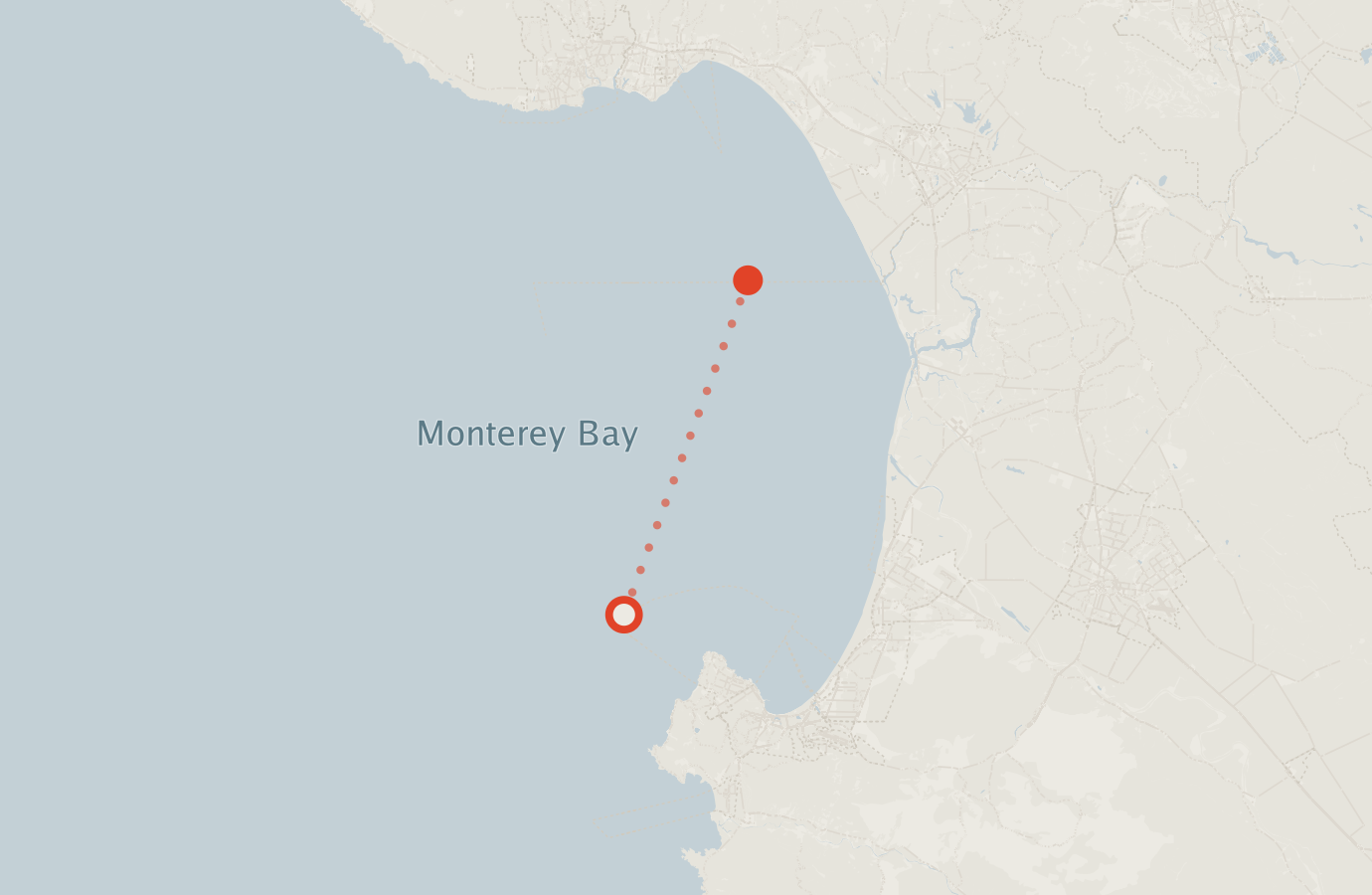 Activity map — real sighting points on an OpenStreetMap basemap