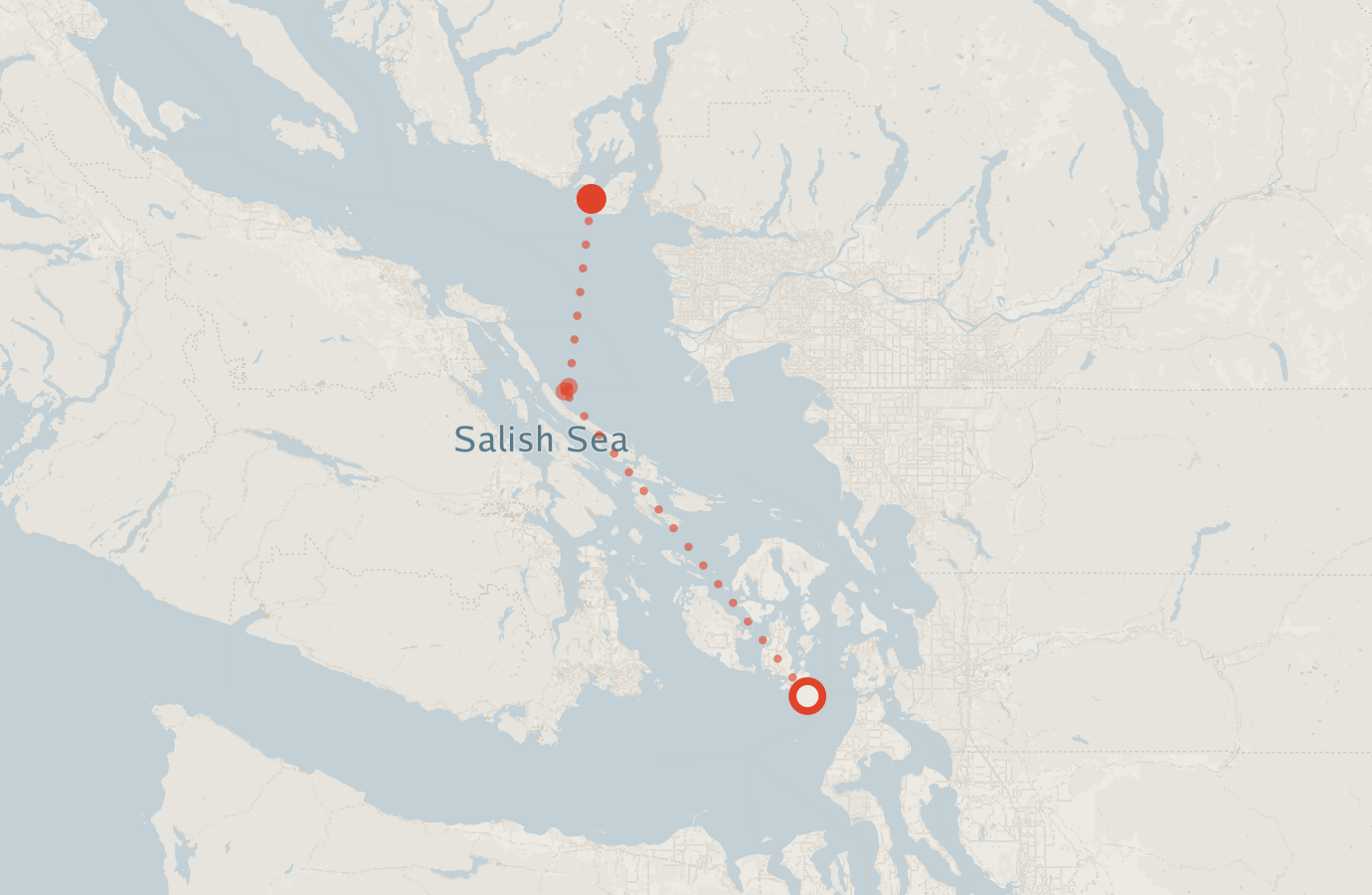 Activity map — real sighting points on an OpenStreetMap basemap