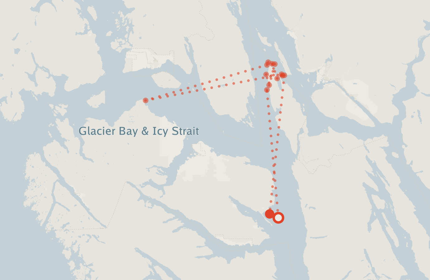 Activity map — real sighting points on an OpenStreetMap basemap