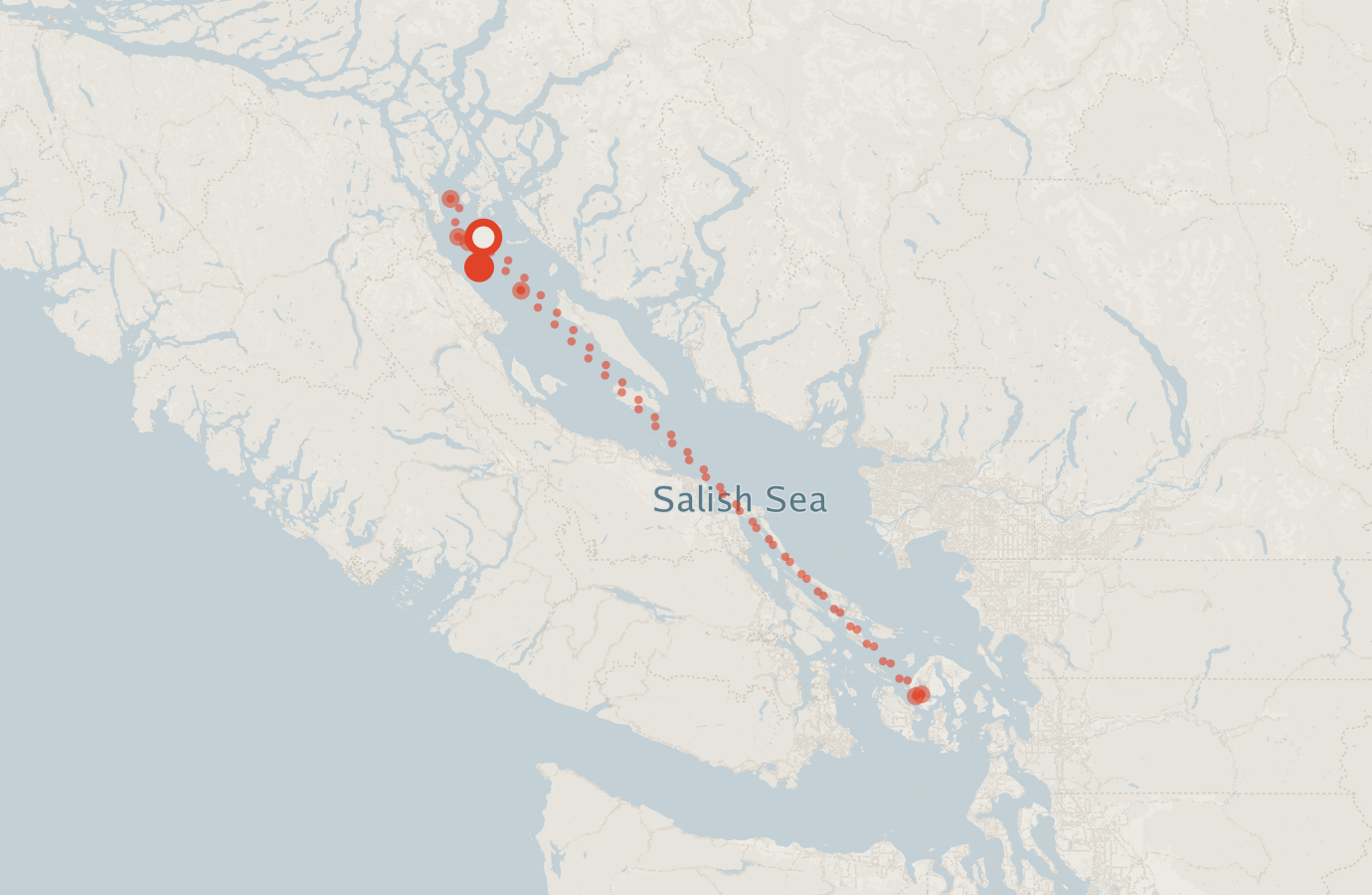 Activity map — real sighting points on an OpenStreetMap basemap