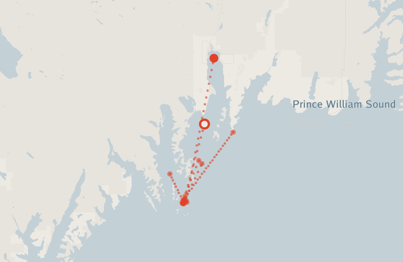 Activity map — real sighting points on an OpenStreetMap basemap
