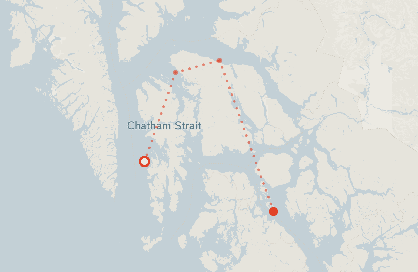 Activity map — real sighting points on an OpenStreetMap basemap